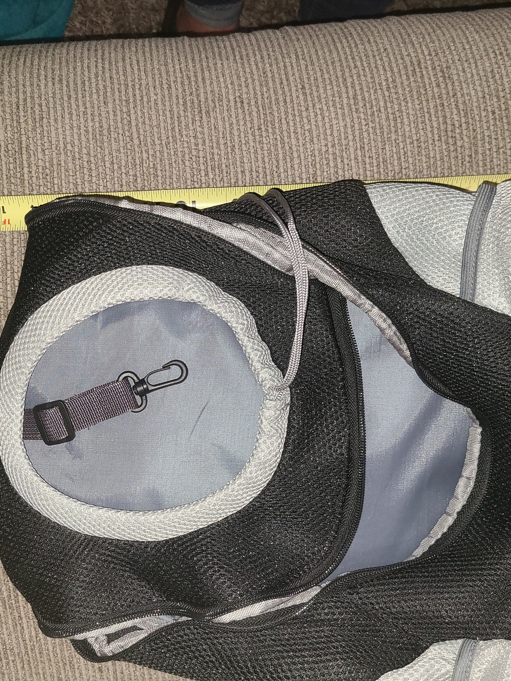 X-small Dog Items - Picture 15 of 16